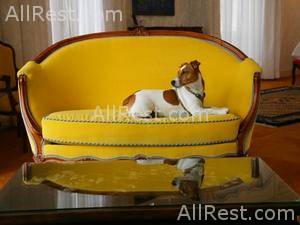 Hotel Negresco 8